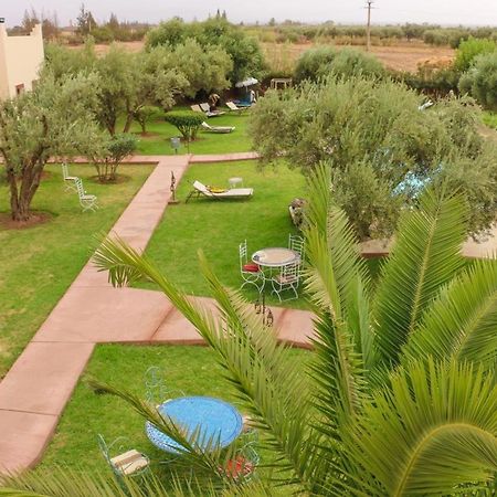 Upupa De L'Atlas Oulad el Guern Luaran gambar