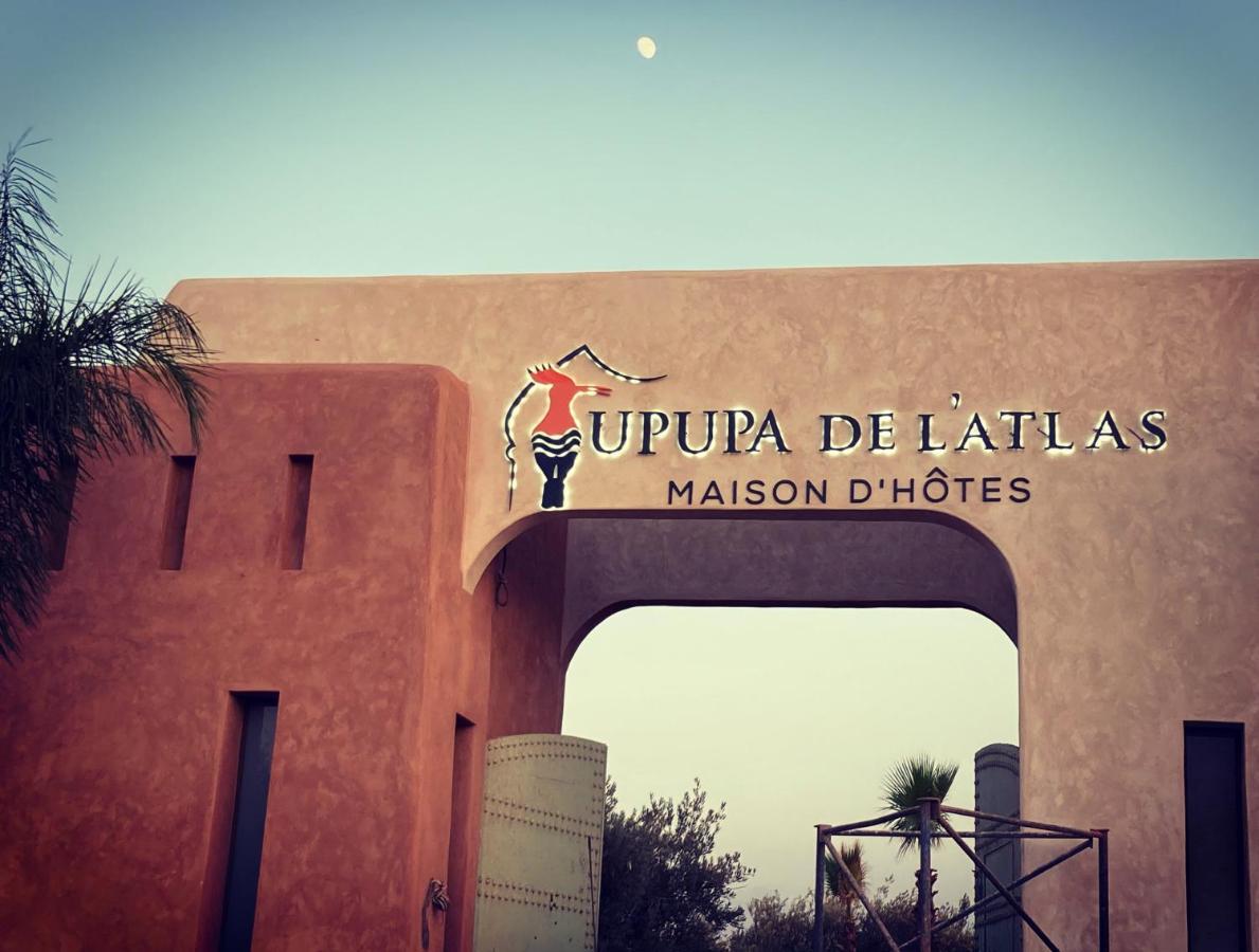 Upupa De L'Atlas Oulad el Guern Luaran gambar