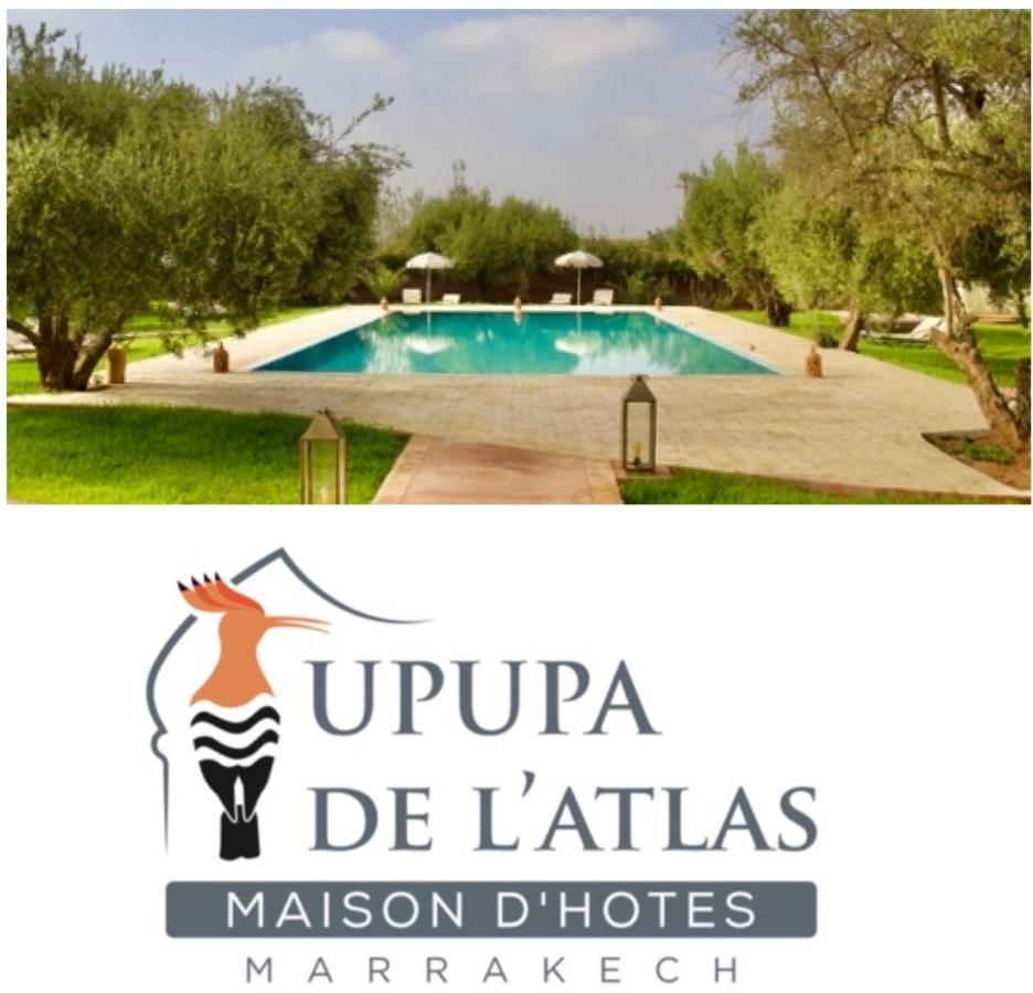 Upupa De L'Atlas Oulad el Guern Luaran gambar