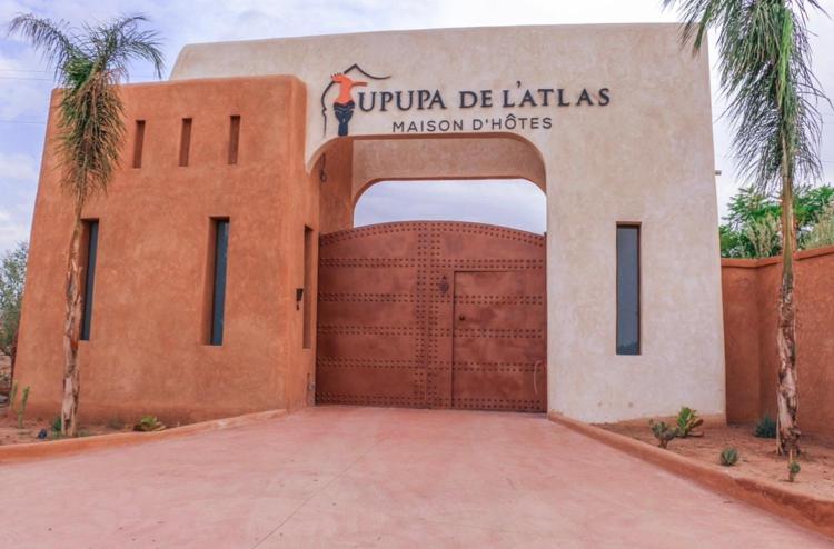 Upupa De L'Atlas Oulad el Guern Luaran gambar