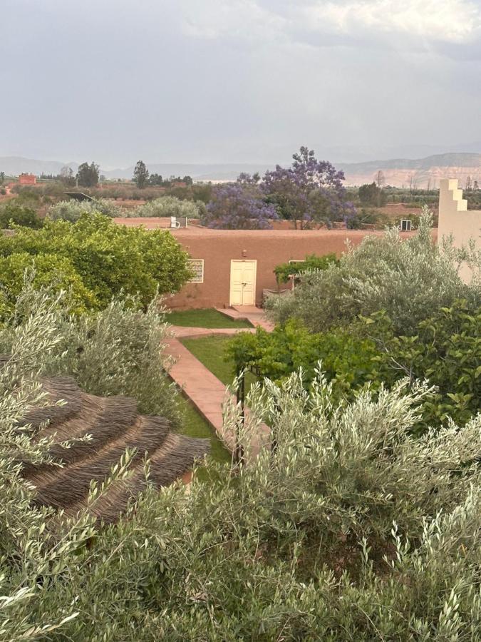 Upupa De L'Atlas Oulad el Guern Luaran gambar